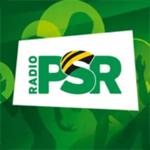 RADIO PSR 